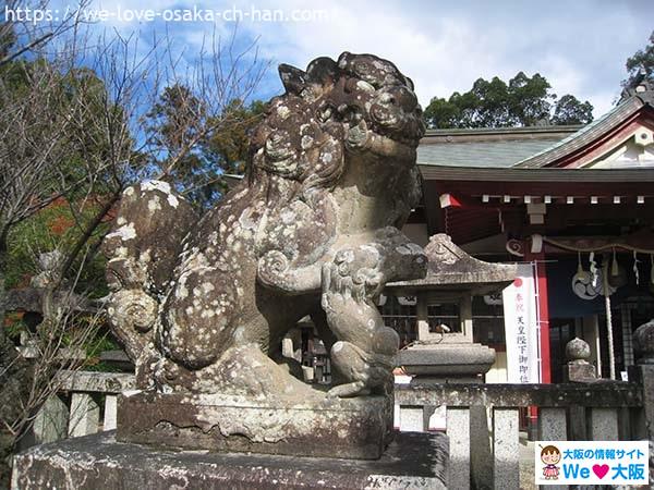 日本波物神社七夕09