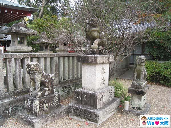 日本波物神社七夕08