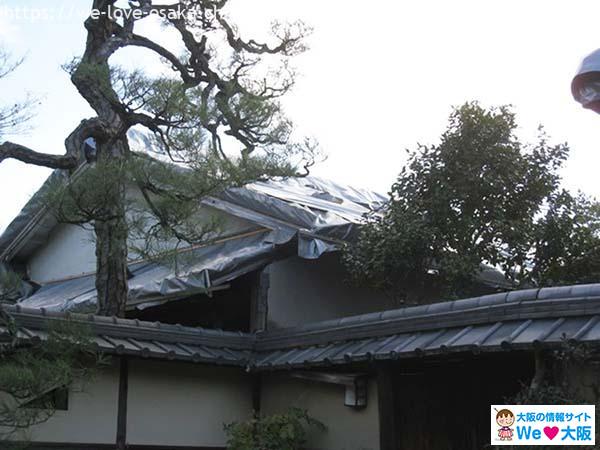 日本大阪商華堂花園13